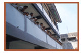 Gedung Sekolah